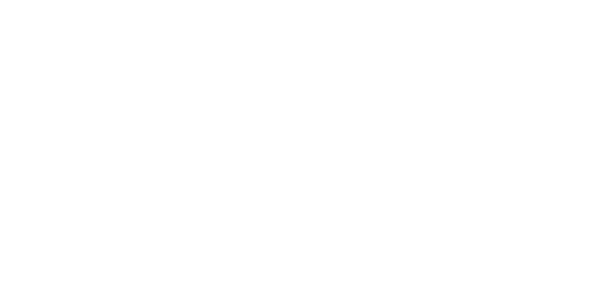 Baldinini